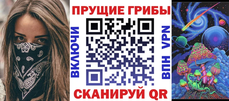 Купить закладки  Петровск-Забайкальский  Галлюциногенные грибы прущие грибы 